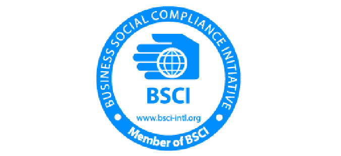 BSCI Logo